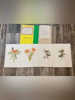 Wild Flower Prints 13/1500 kinglets By Don Whitlatch  COA Daylily Butterfly Bird